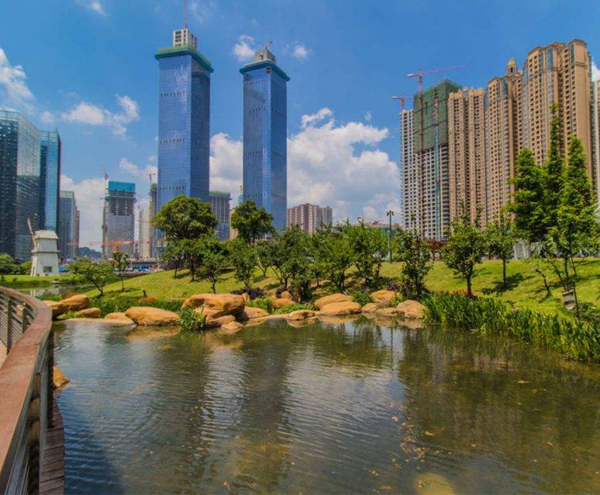 开云官方端网站登录入口-开云KaiYun(中国)